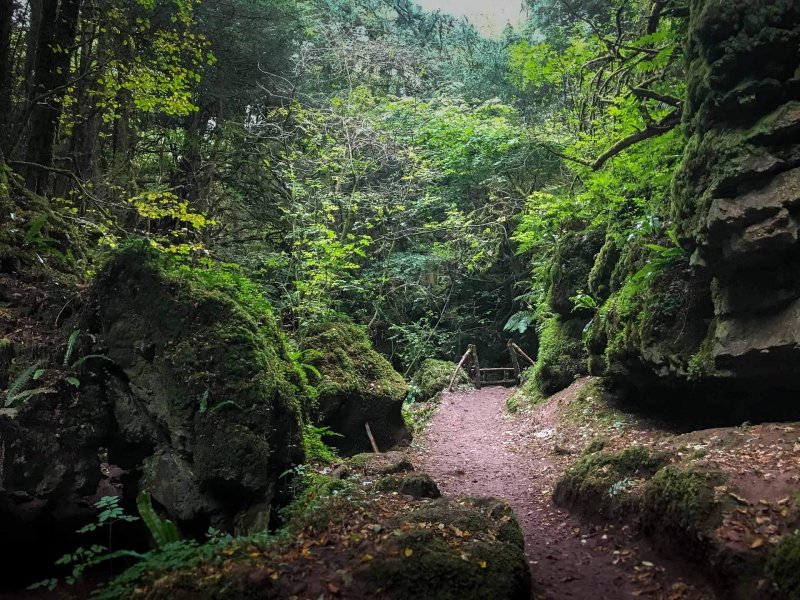 Serene-walks-puzzlewood1