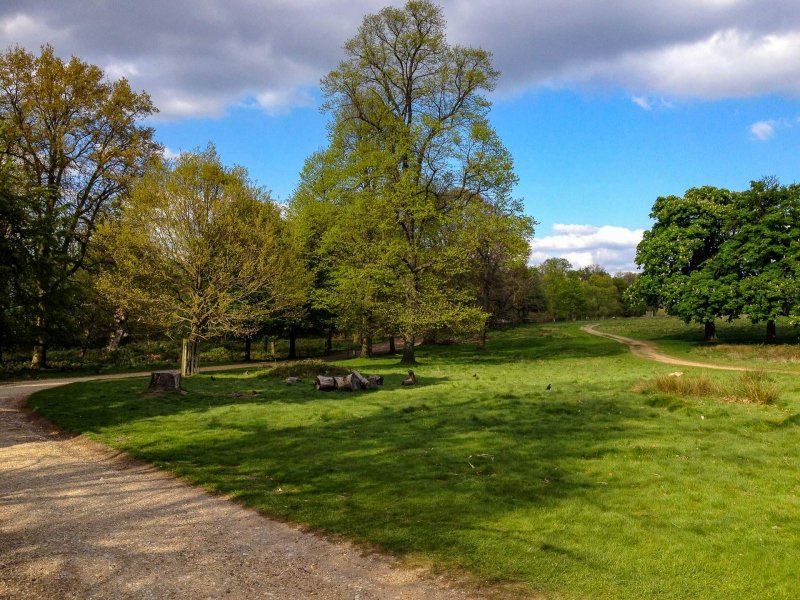 richmond-park-london-on-a-sunny-day-3