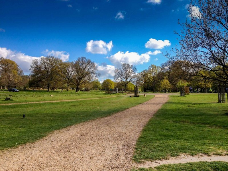 richmond-park-london-on-a-sunny-day-4