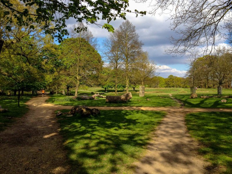 richmond-park-london-on-a-sunny-day