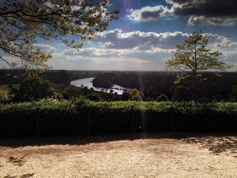 view-of-river-thames-richmond-terrace2