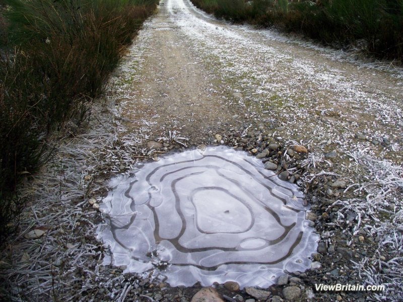 Frozen-puddle-on-a-Walk-in-Loch-Ard-Forest