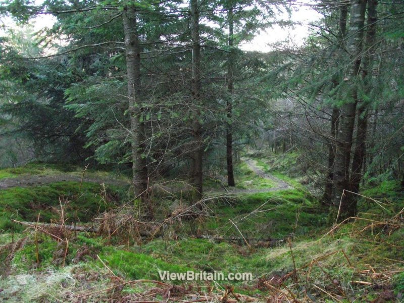 Garbeg-Hill-Loch-Ard-Forest-2