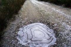 Frozen-puddle-on-a-Walk-in-Loch-Ard-Forest