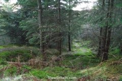 Garbeg-Hill-Loch-Ard-Forest-2