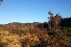 Garbeg-Hill-Loch-Ard-Forest
