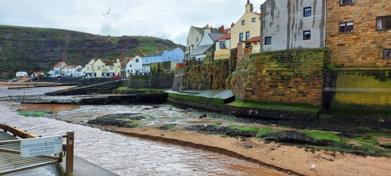 cod-lobster-staithes-harbour