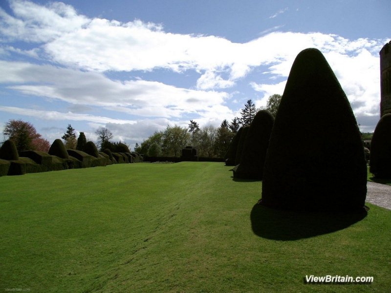 Clipped-Yew-Trees-at-Chirk-Castle-Wales