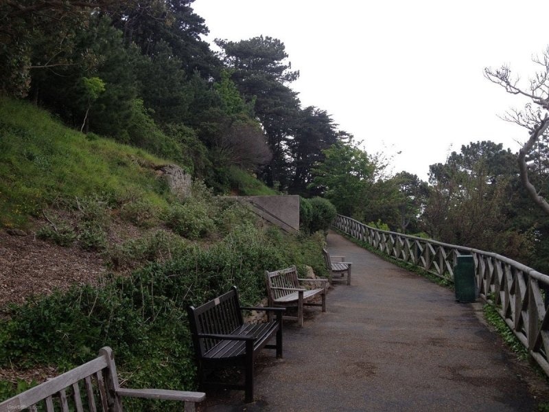 Beautiful-Haulfre-Gardens-Trail-Llandudno