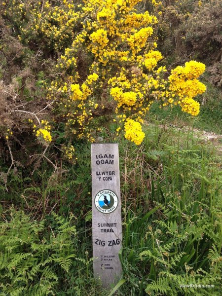 Summit-Trail-Llandudno-West-Shore