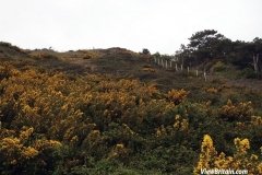 Great-Orme-Summit-Trail-Llandudno
