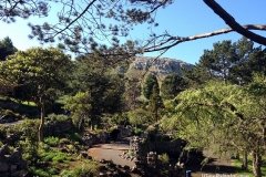 Happy-Valley-Garden-llandudno