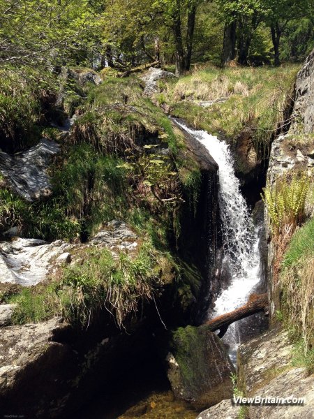 Streams-near-Pistyll-Rhaeadr-waterfalls