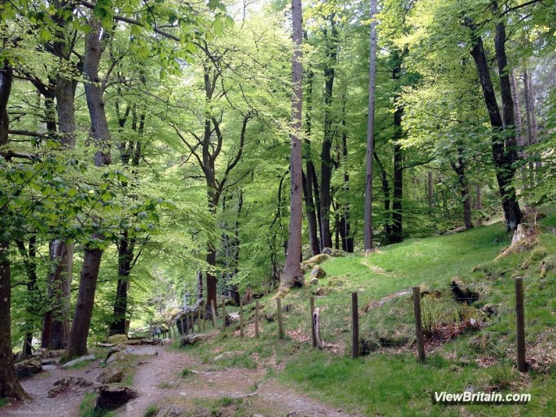 Walk-leading-to-Pistyll-Rhaeadr-waterfall-Wales
