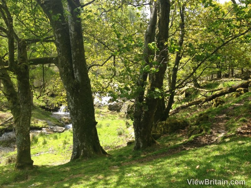 top-of-pistyll-rhaeadr-waterfall