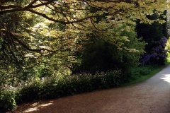 Beautiful-Walks-in-the-Powis-Castle-Gardens