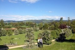 Powis-Castle-formal-gardens