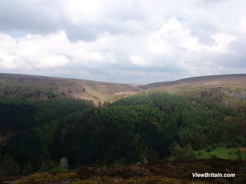 Moorland-at-Worlds-End-Denbighshire-Wales