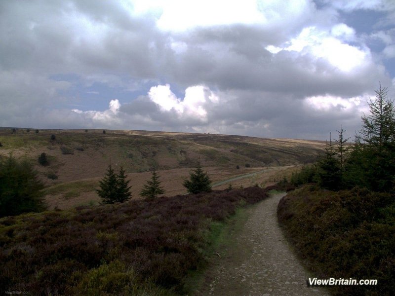 Walk-at-Worlds-End-Denbighshire-Wales