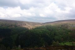 Moorland-at-Worlds-End-Denbighshire-Wales