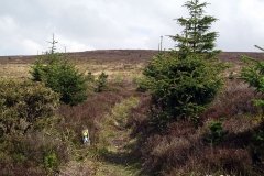 Numerous-Walks-at-Worlds-End-Wales