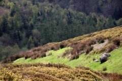 Spectacular-Moorlands-Worlds-End-Wales