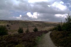 Walk-at-Worlds-End-Denbighshire-Wales