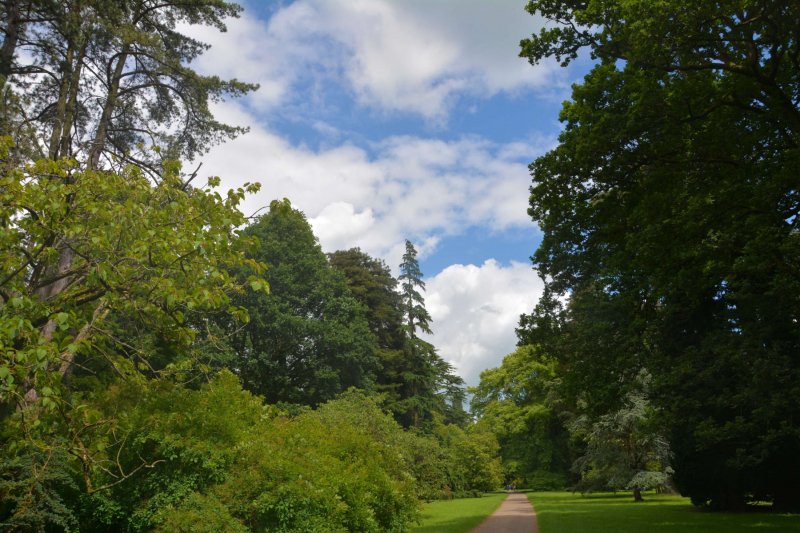 Nature-trail-through-the-park-at-westonbirt-arboretum
