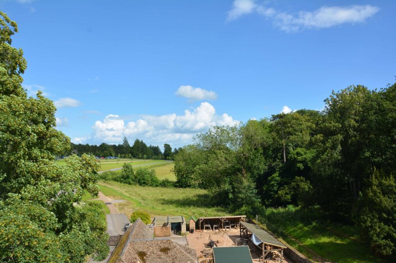 Treetop-view-of-craft-area-at-westonbirt-arboretum