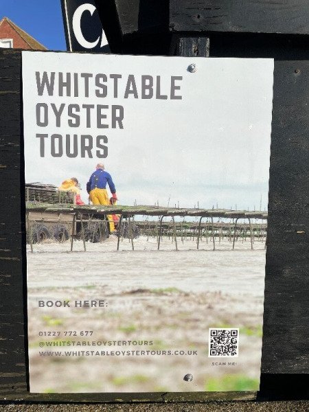 whitstable-oyster-tours