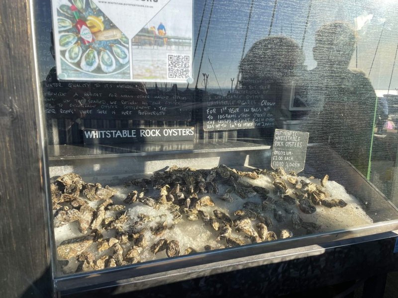 whitstable-oysters-shop-rock-oysters