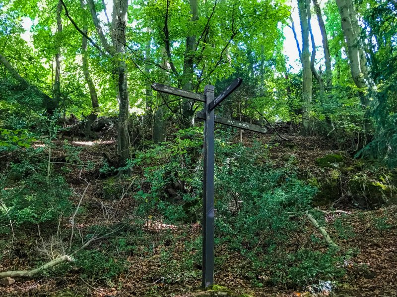 Walk-up-to-yat-rock-sign-post-wye-valley-