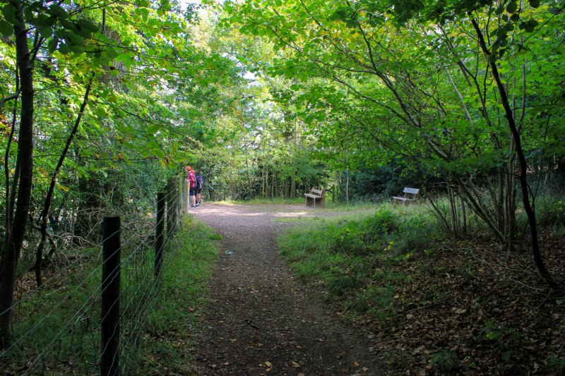 approach-to-second-view-point-in-symonds-yat-2