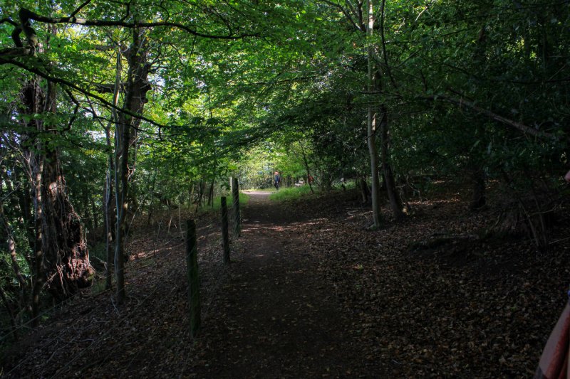 approach-to-second-view-point-in-symonds-yat