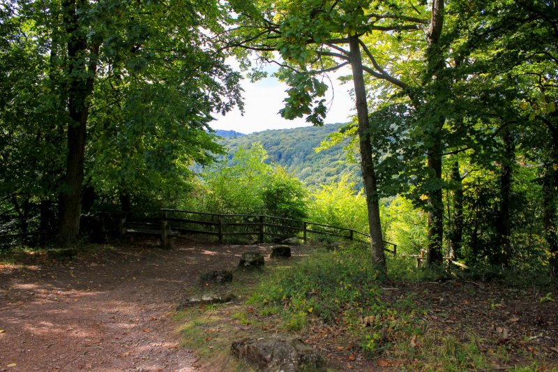 arriving-at-the-top-of-yat-rock-from-riverside