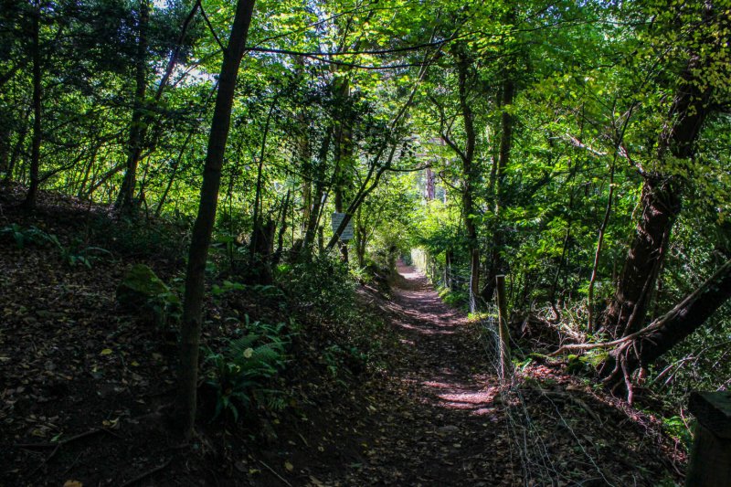 climb-up-to-yat-rock-from-symonds-yat-east-riverside