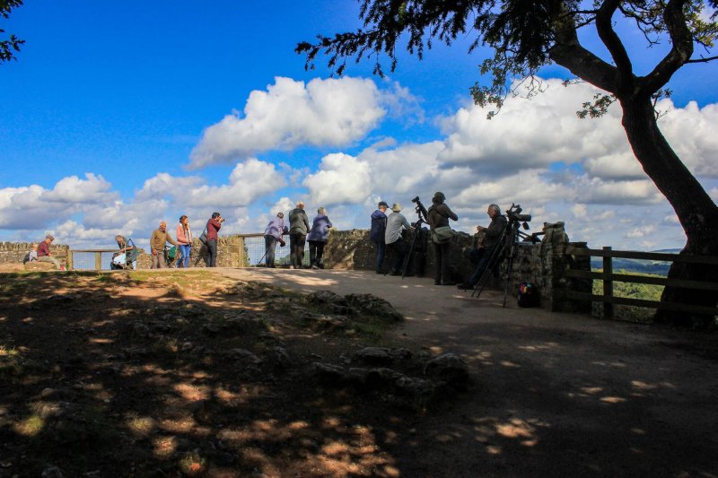 photographers-taking-pictures-of-peregrine-falcons-on-symonds-yat-wye-valley