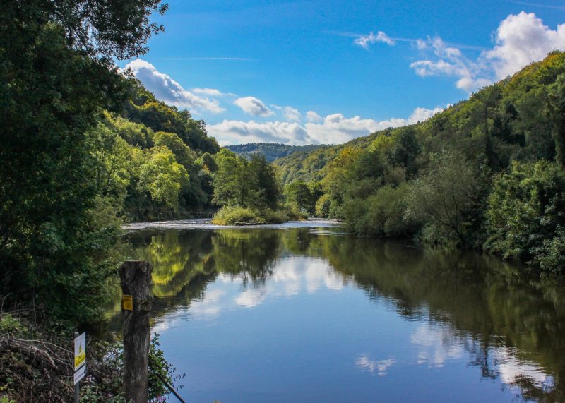 small-island-on-river-wye-symonds-yat-east