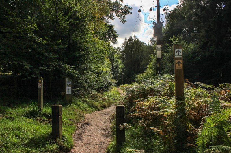 symonds-yat-trail-walk-path-signpost