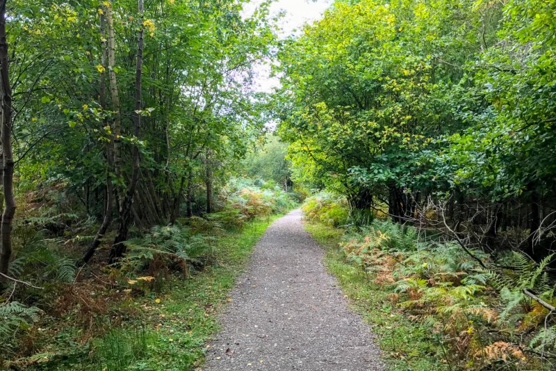 walk-near-symonds-yat-wye-valley
