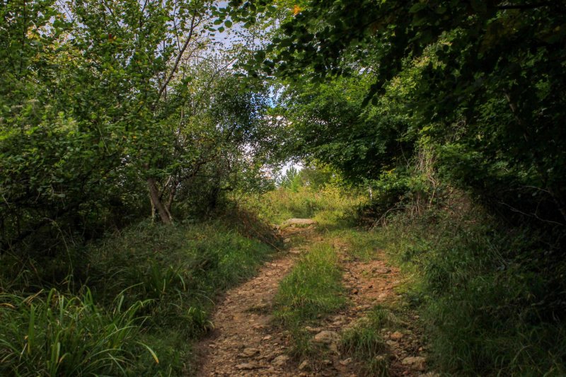 walk-near-yat-rock-wye-valley-1