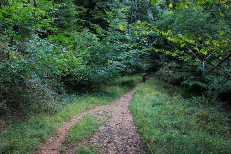 walk-near-yat-rock-wye-valley-2