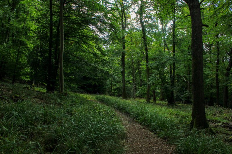 walk-near-yat-rock-wye-valley-3