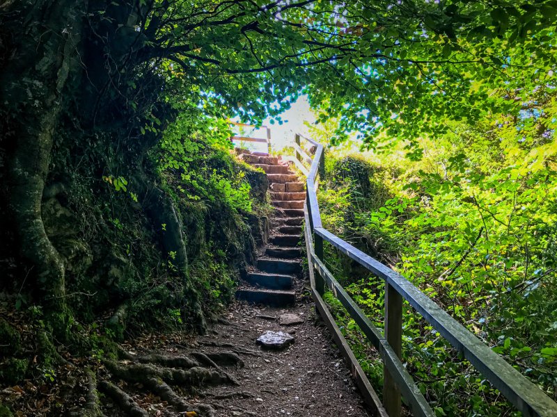 walk-up-to-yat-rock-final-steps-from-riverside