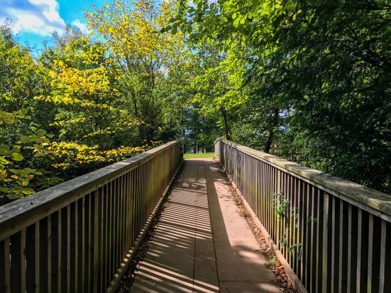 wooden-foot-bridge-near-yat-rock