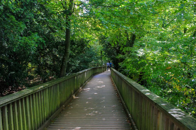 wooden-footbridge-near-yat-rock-wye-valley