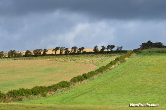 Isle-of-Wight-Landscape