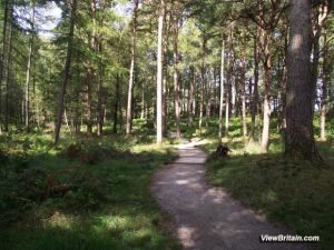 Read more about the article Shorter walk around Derwentwater Lake