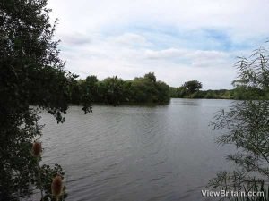 Read more about the article Fishing at Dinton Pastures Country Park
