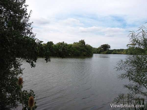dinton-pastures-country-park-lake